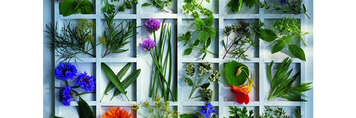 گیاهان سبز در عطرسازی